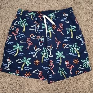 Chubbies Swimtrunks